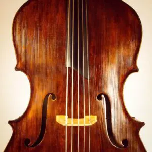 5 String Upgrade - Upton Five String Double Bass